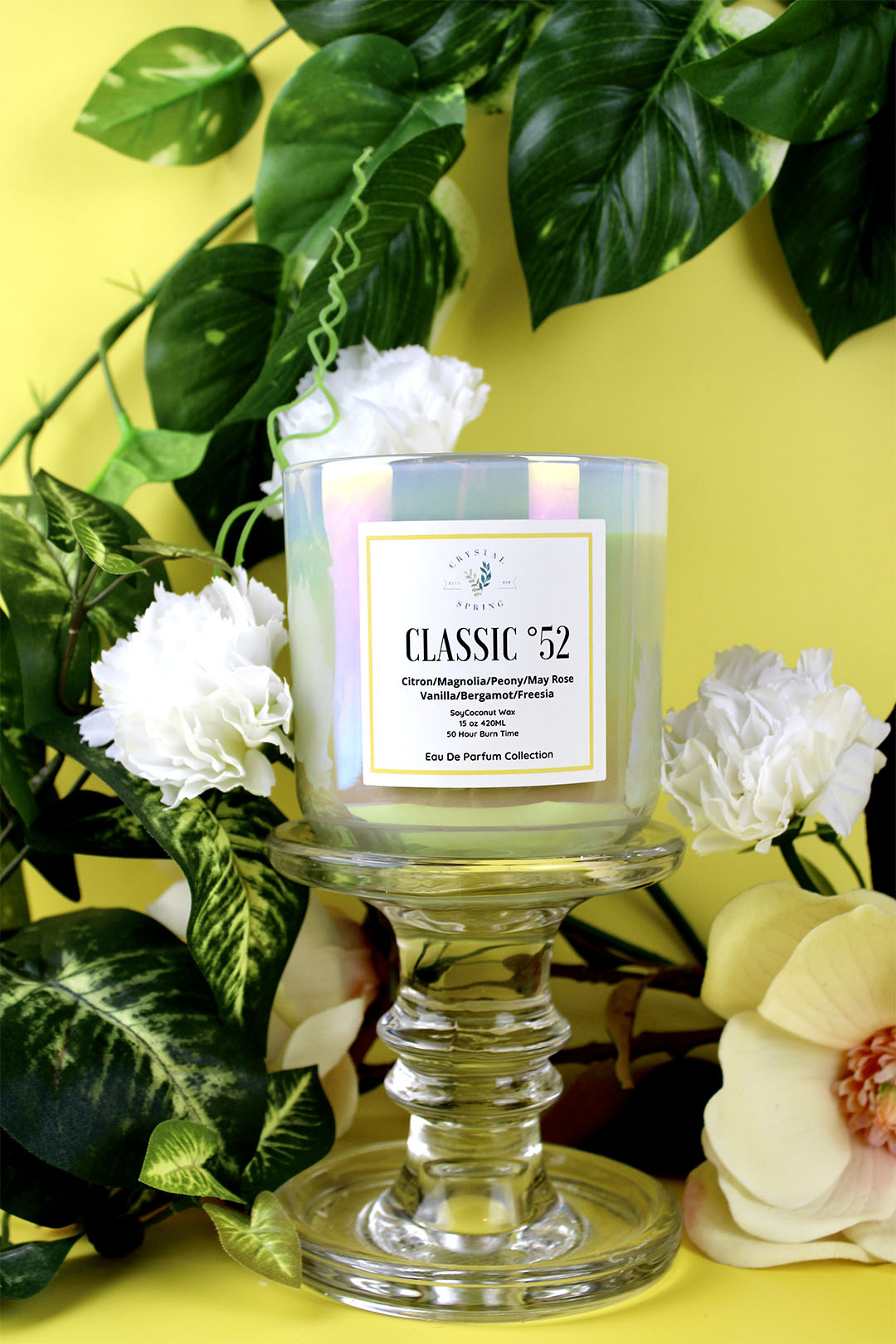 Classic 52 Handpaint Collection